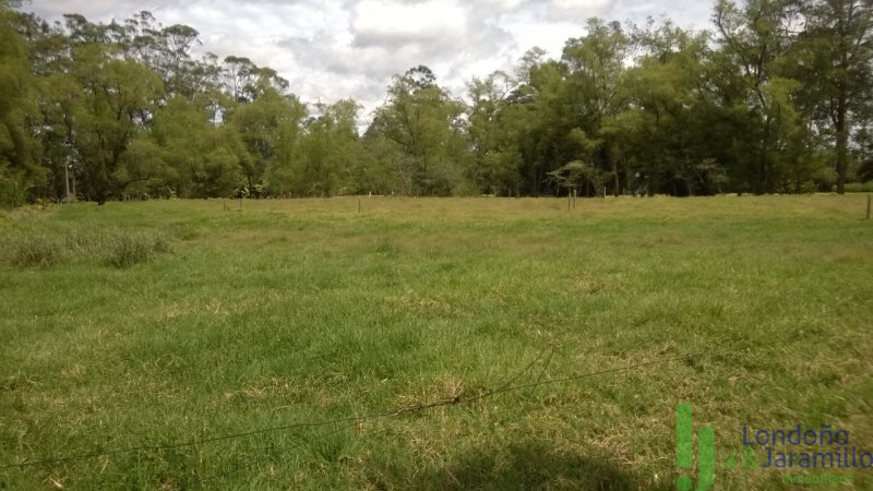 Terreno en Venta en Llanogrande