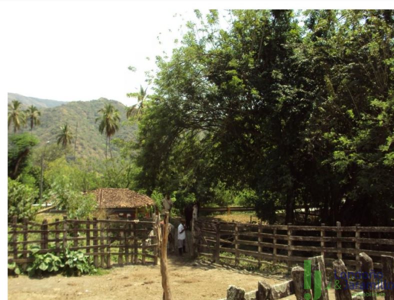 Finca en Venta en Vereda La Noque