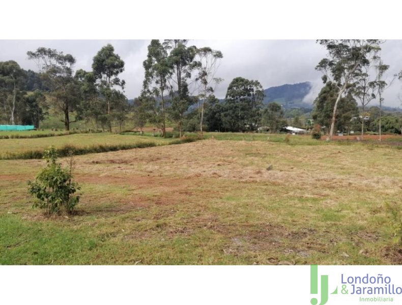 Terreno en Venta en La Ceja