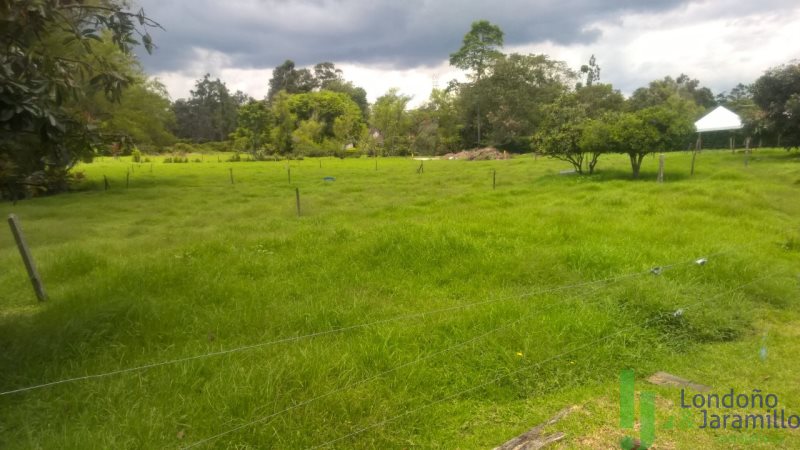 Terreno en Venta en Llanogrande