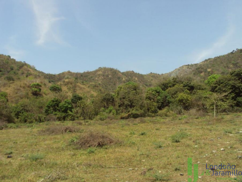 Finca en Venta en Vereda La Noque