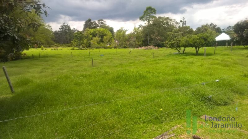 Terreno en Venta en Llanogrande