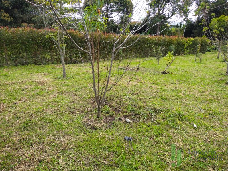 Terreno en Venta en Carmen De Viboral