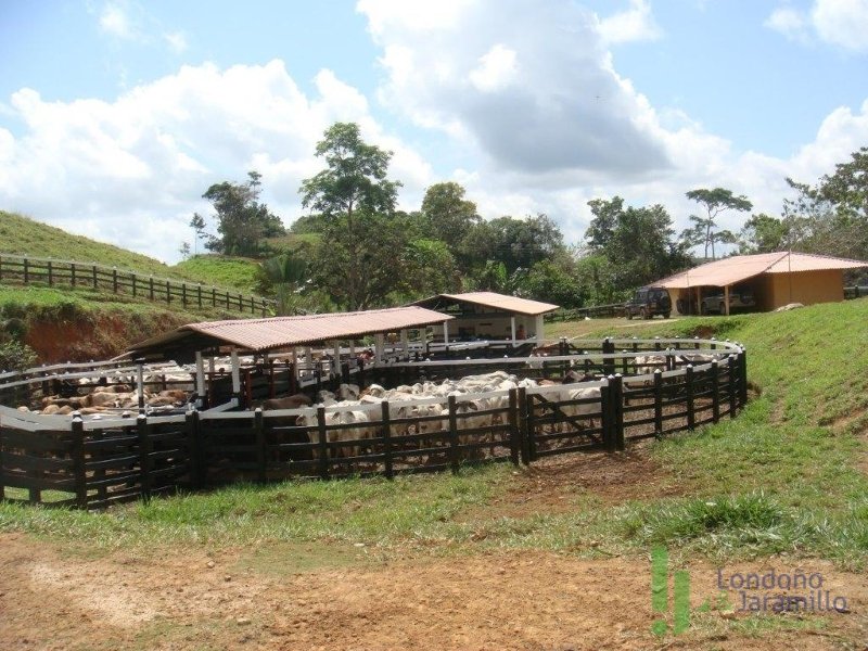 Finca en Venta en Puerto Berrio