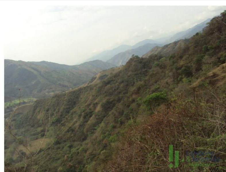 Finca en Venta en Vereda La Noque
