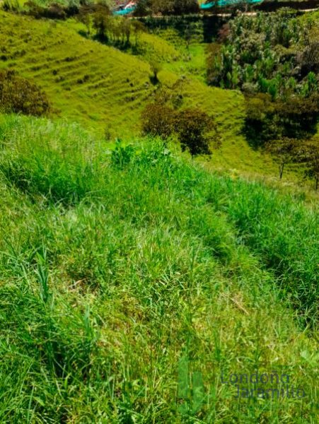 Terreno en Venta en Las Lomitas