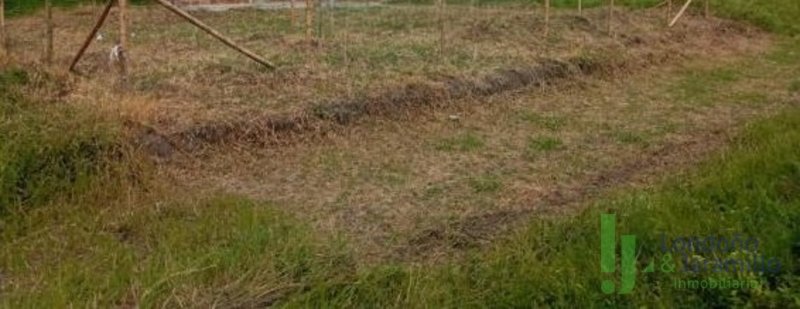 Terreno en Arriendo en Ciudad Del Rio