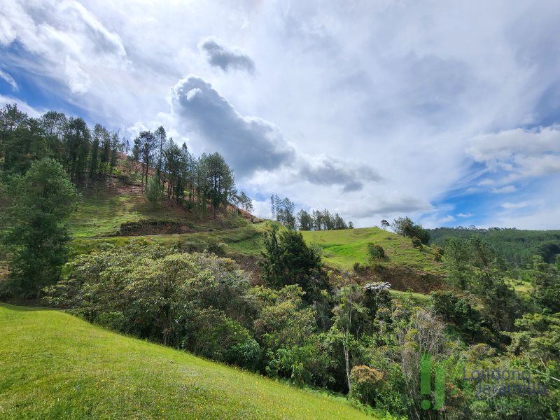 Terreno en Venta en El Retiro
