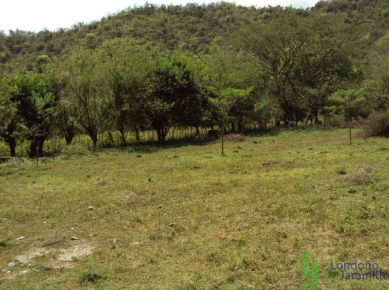 Terreno en Venta en Vereda La Noque