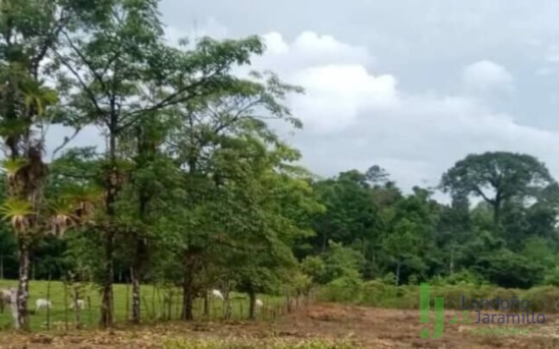 Terreno en Venta en Llanogrande